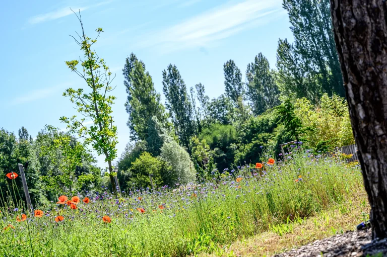 Préparer son jardin pour l&rsquo;été